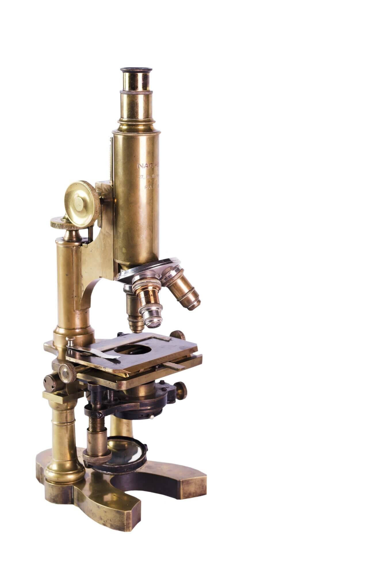 Microscopio