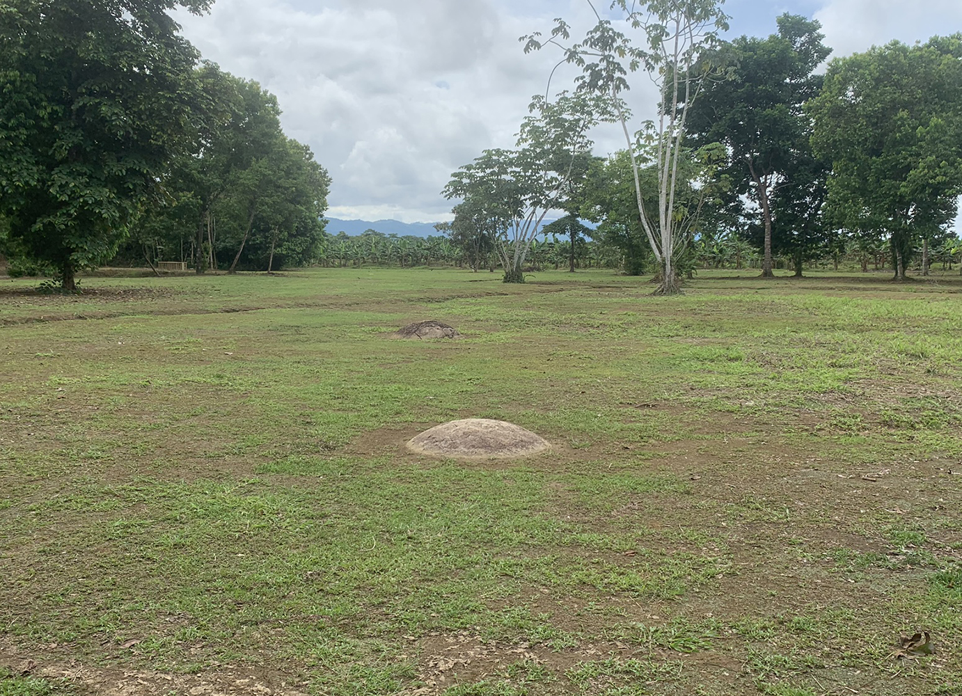 En esta imagen se observan las "coronas" de dos esferas alineadas en el sitio arqueológico Finca 6