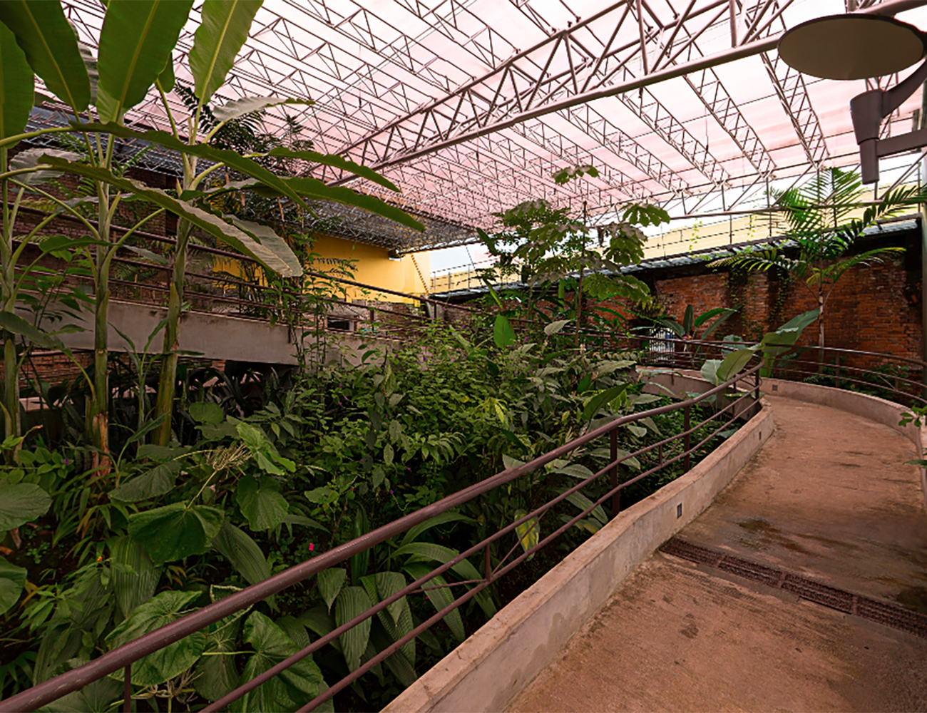 Recorrido 360° por el jardín de mariposas del Museo Nacional