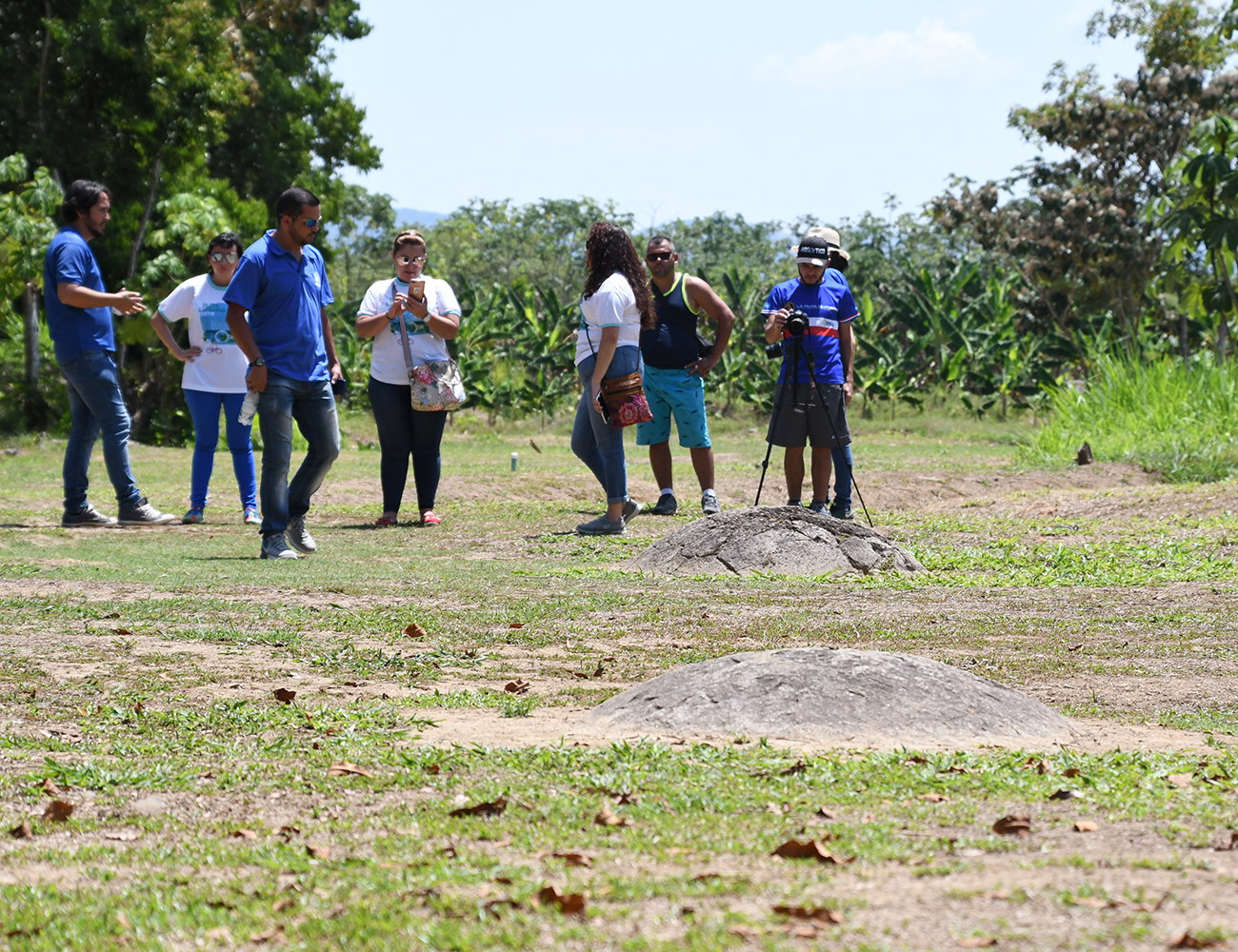 Sector de alineamientos se esferas en el sitio Finca 6, Cantón de Osa