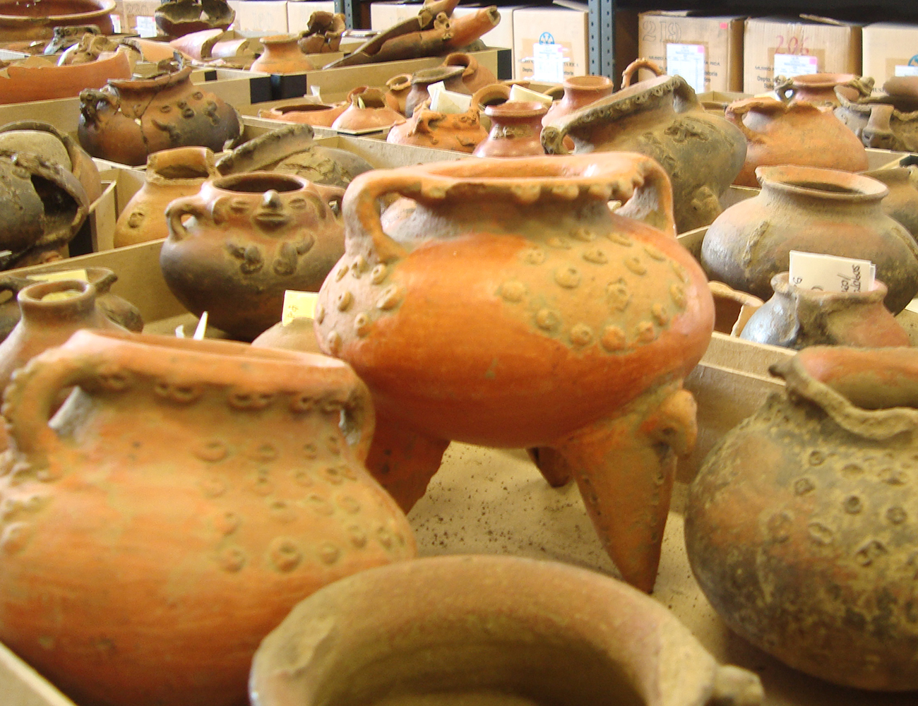 Piezas de cerámica recuperadas de una excavación arqueológica