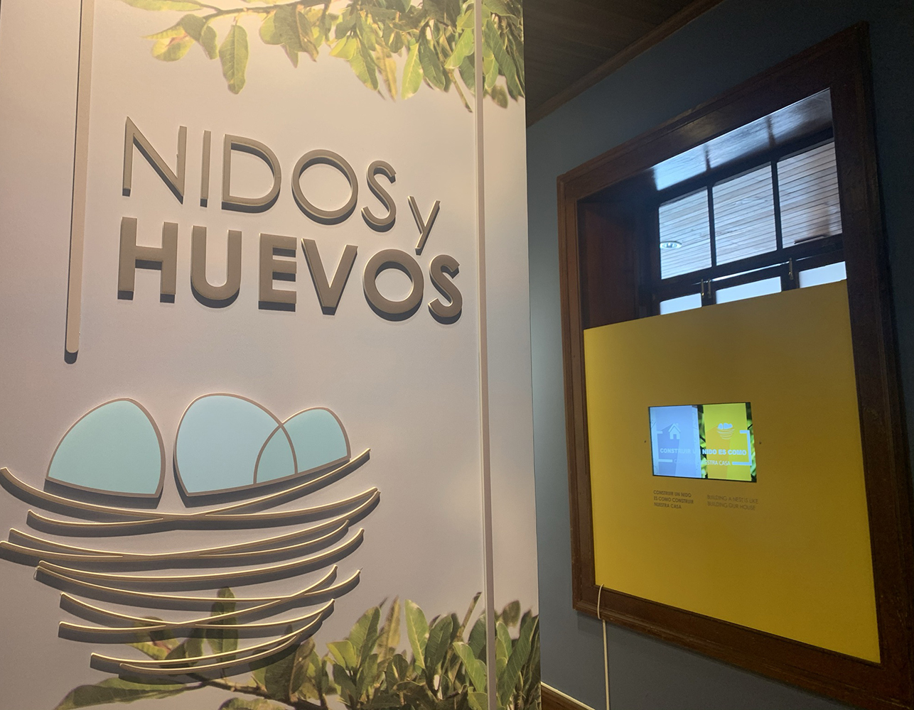 Nidos y huevos