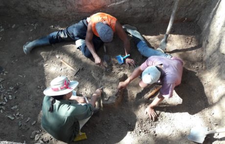 Exacavación en el sitio arqueológico El Viejo