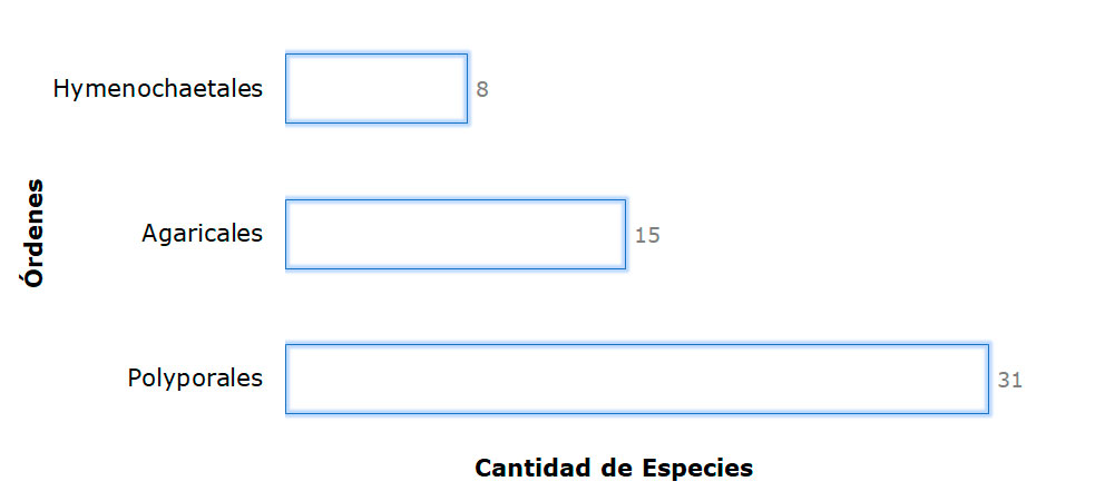 Órdenes de hongos más diversos en la región de Gandoca-Manzanillo y Sixaola