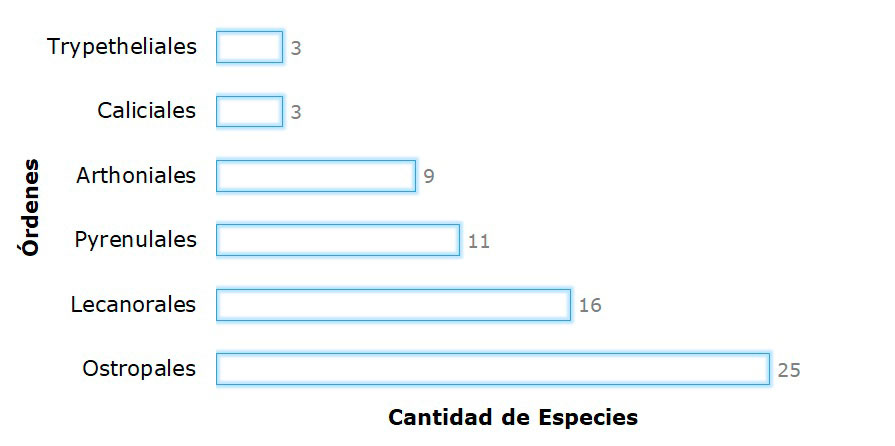 Órdenes de líquenes más diversos en la región de Gandoca-Manzanillo y Sixaola