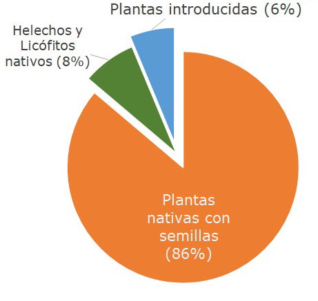 Distribución de la riqueza de especies (porcentaje), por diferentes grupos de plantas vasculares en la región de Gandoca-Manzanillo y Sixaola.