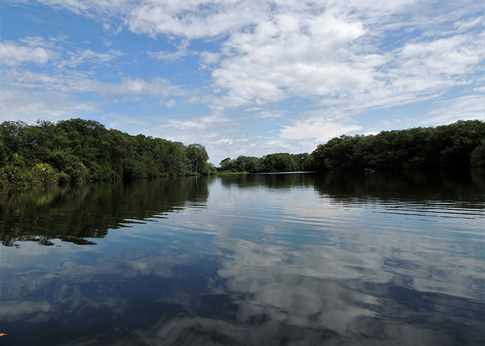 Isla del Coco