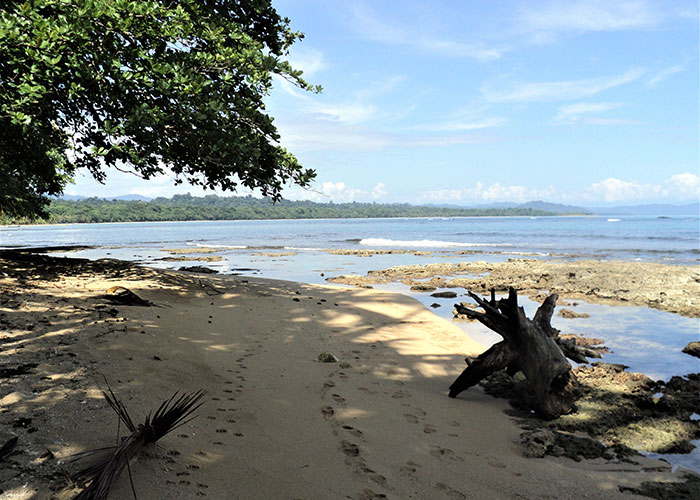 Isla del Coco Rio Genio