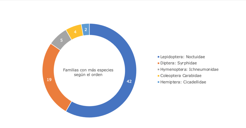 Familias más diversas según órdenes de insectos, para los páramos de Talamanca