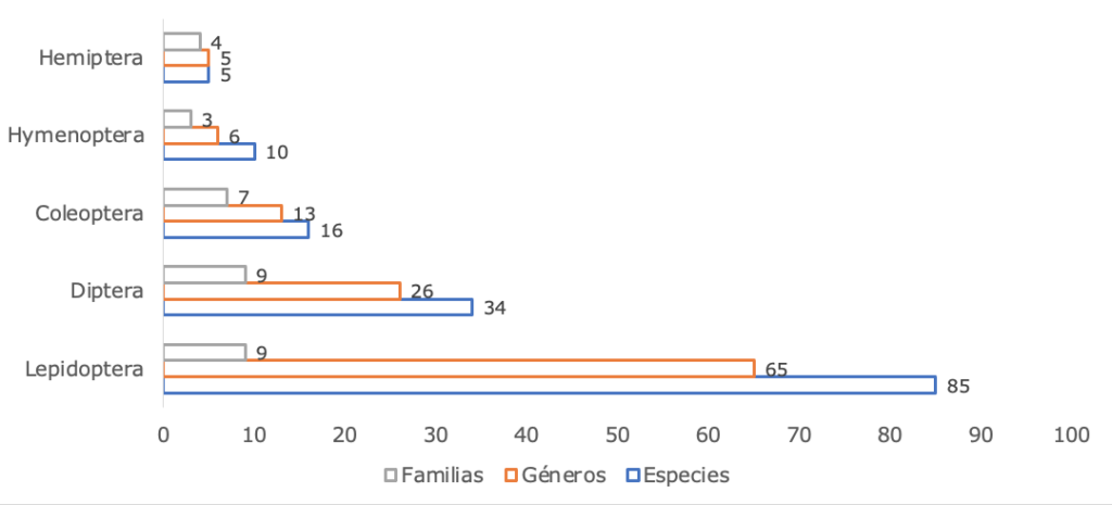 Número de familias, géneros y especies según órdenes de insectos, para los páramos de Talamanca