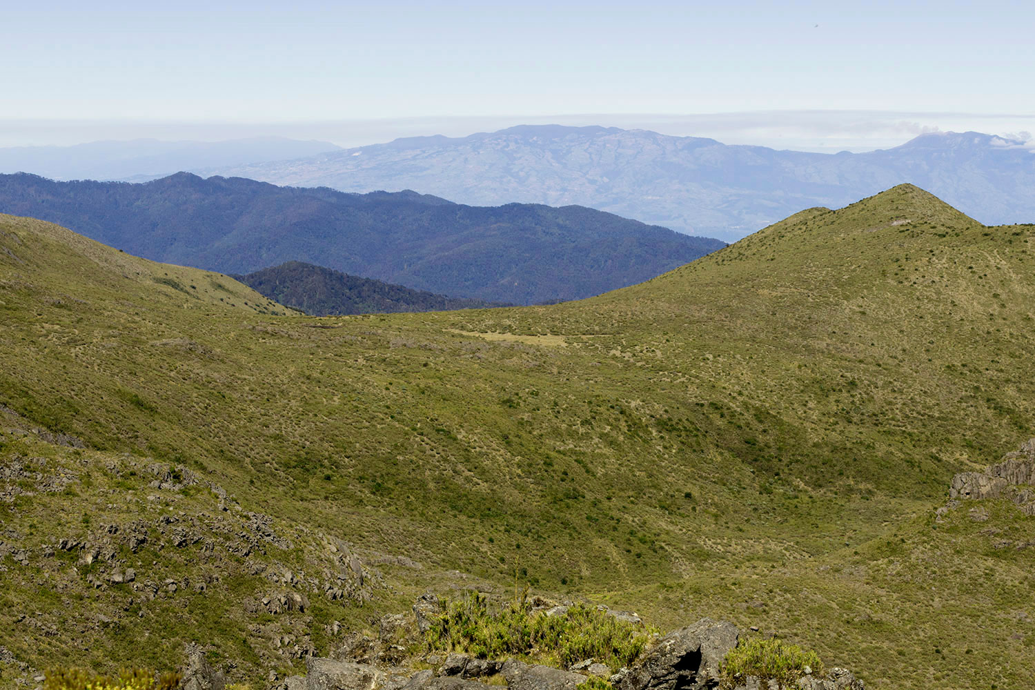 Páramo en Loma Larga, P.N. Chirripó