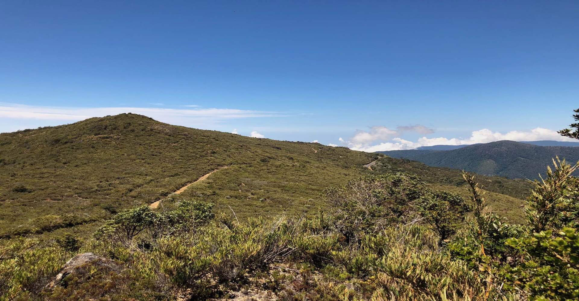 Páramo en Cerro Sákira, Cerro de la Muerte