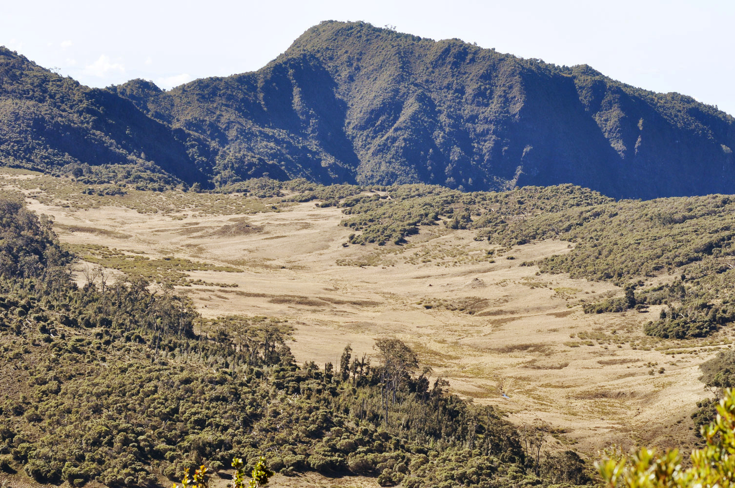 Sabana de Los Leones, P.N. Chirripó