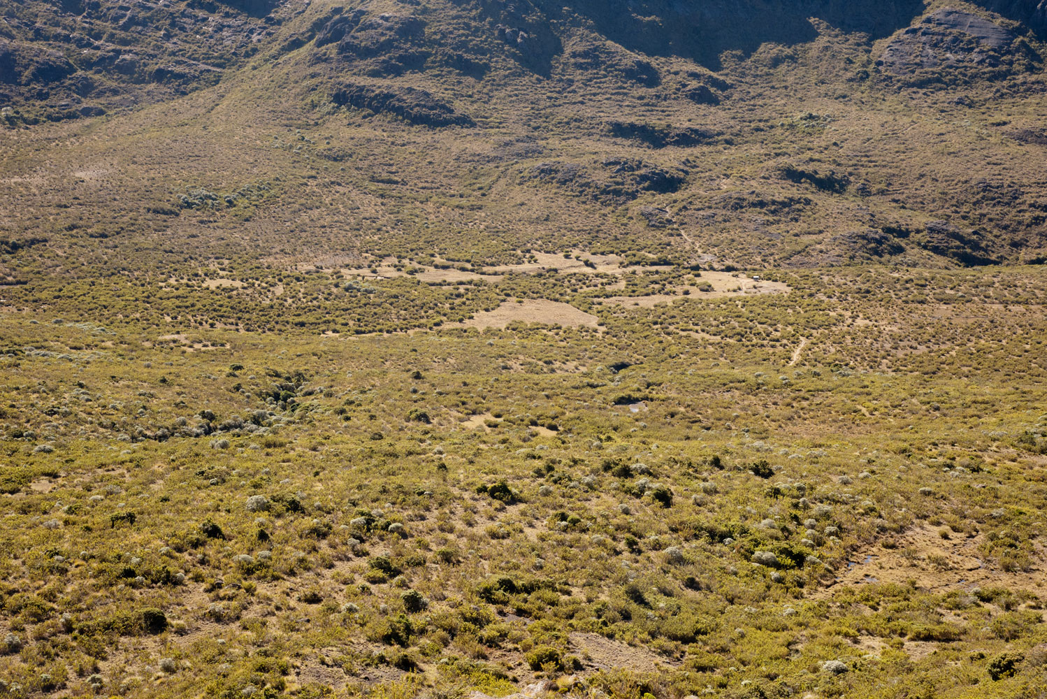 Valle de Los Conejos, P.N. Chirripó