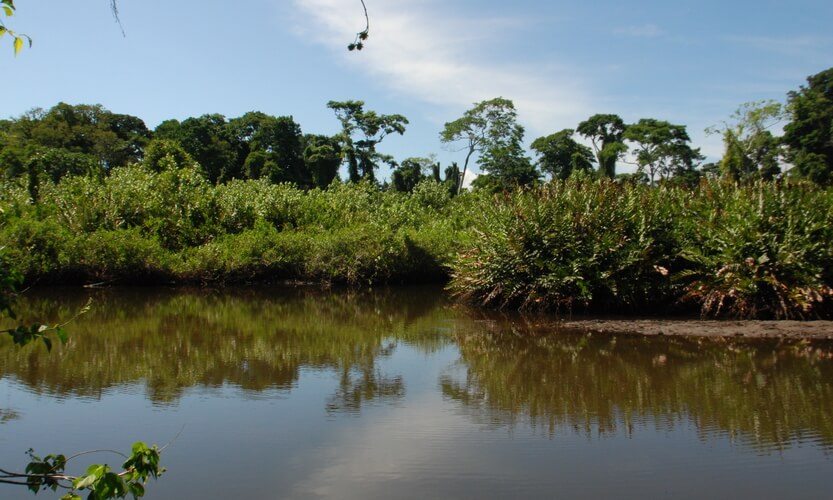 Laguna en Cahuita.