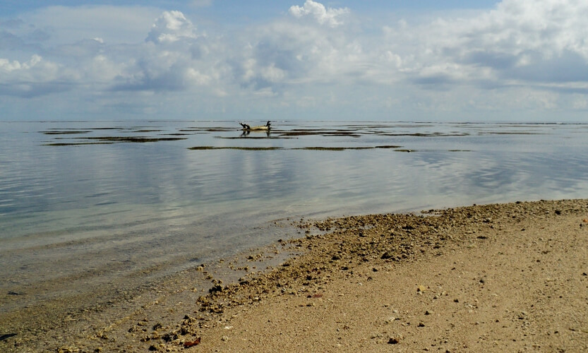 Laguna coralina, Punta Cahuita, P.N. Cahuita.