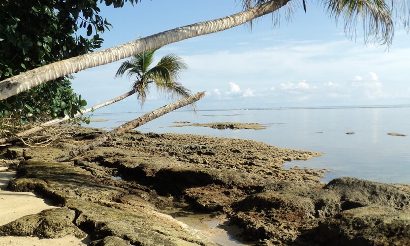 Punta Cahuita, Sector Puerto Vargas, P.N. Cahuita.