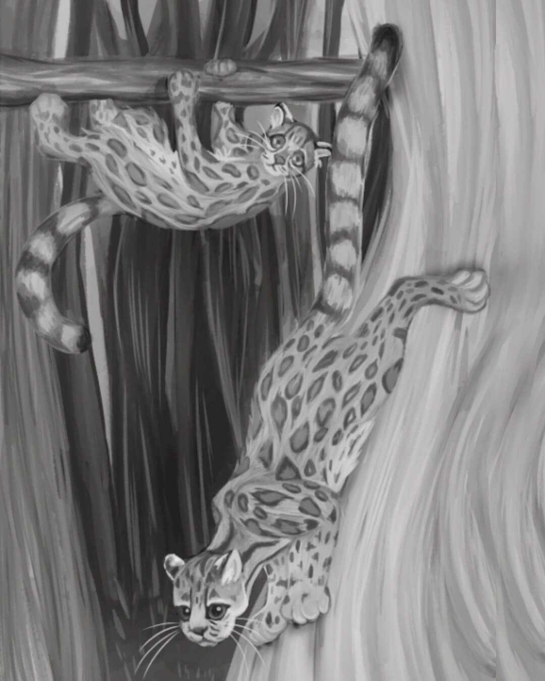 Diferentes maniobras del ágil caucel, Leopardus wiedii