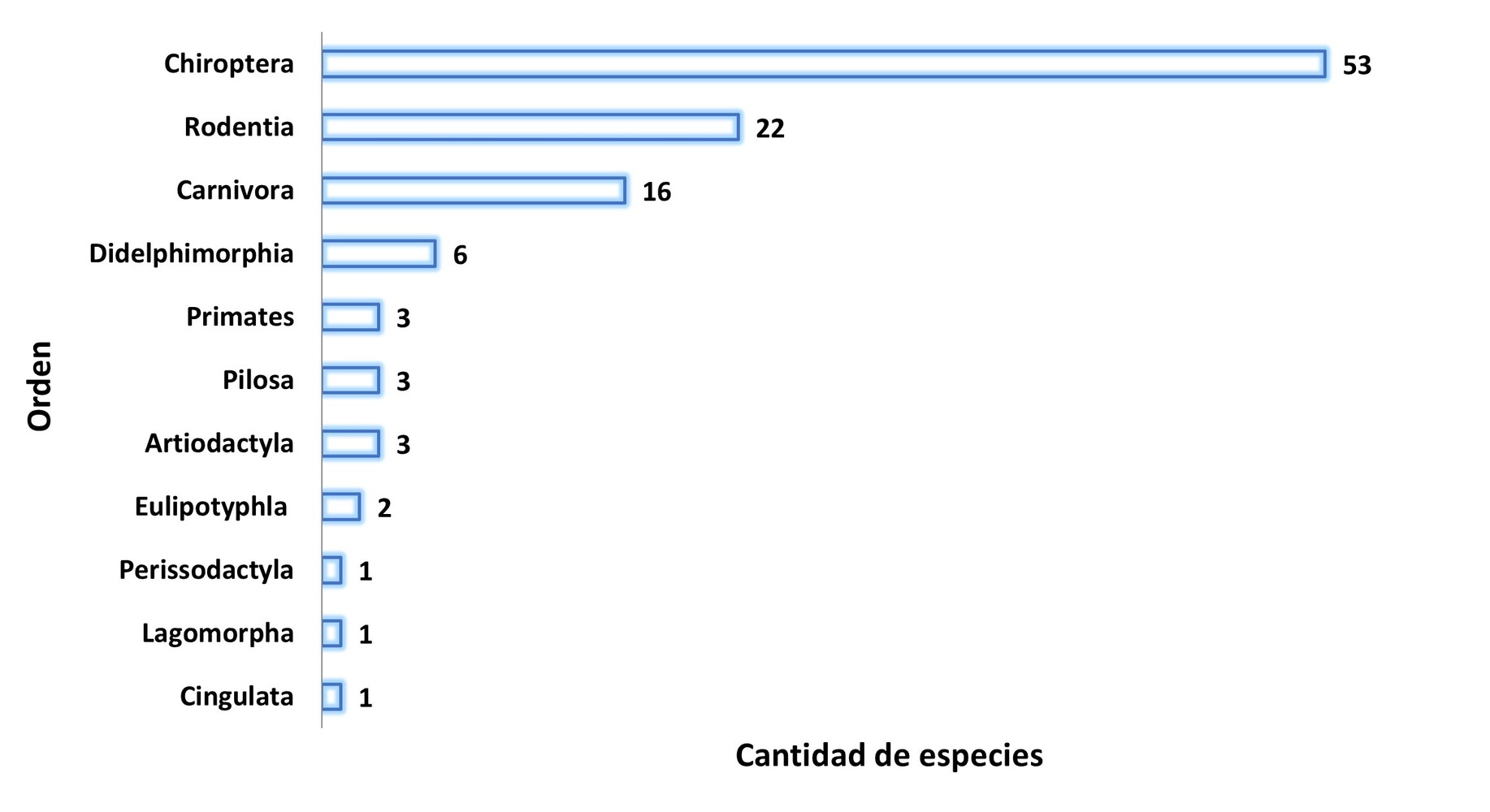 Órdenes de mamíferos representados en la GAM