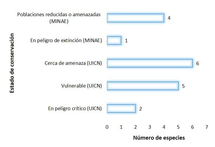 Número de especies por categoría de conservación de acuerdo a legislación nacional (SINAC-MINAE) y mundial (UICN), en la Isla del Coco.