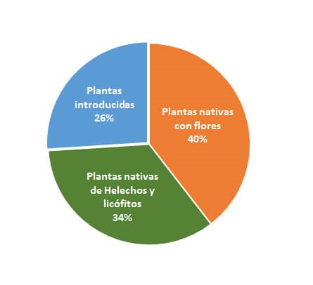 Distribución de la riqueza de especies (porcentaje), por diferentes grupos de plantas vasculares.