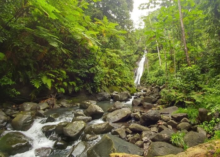 Isla del Coco Rio Genio