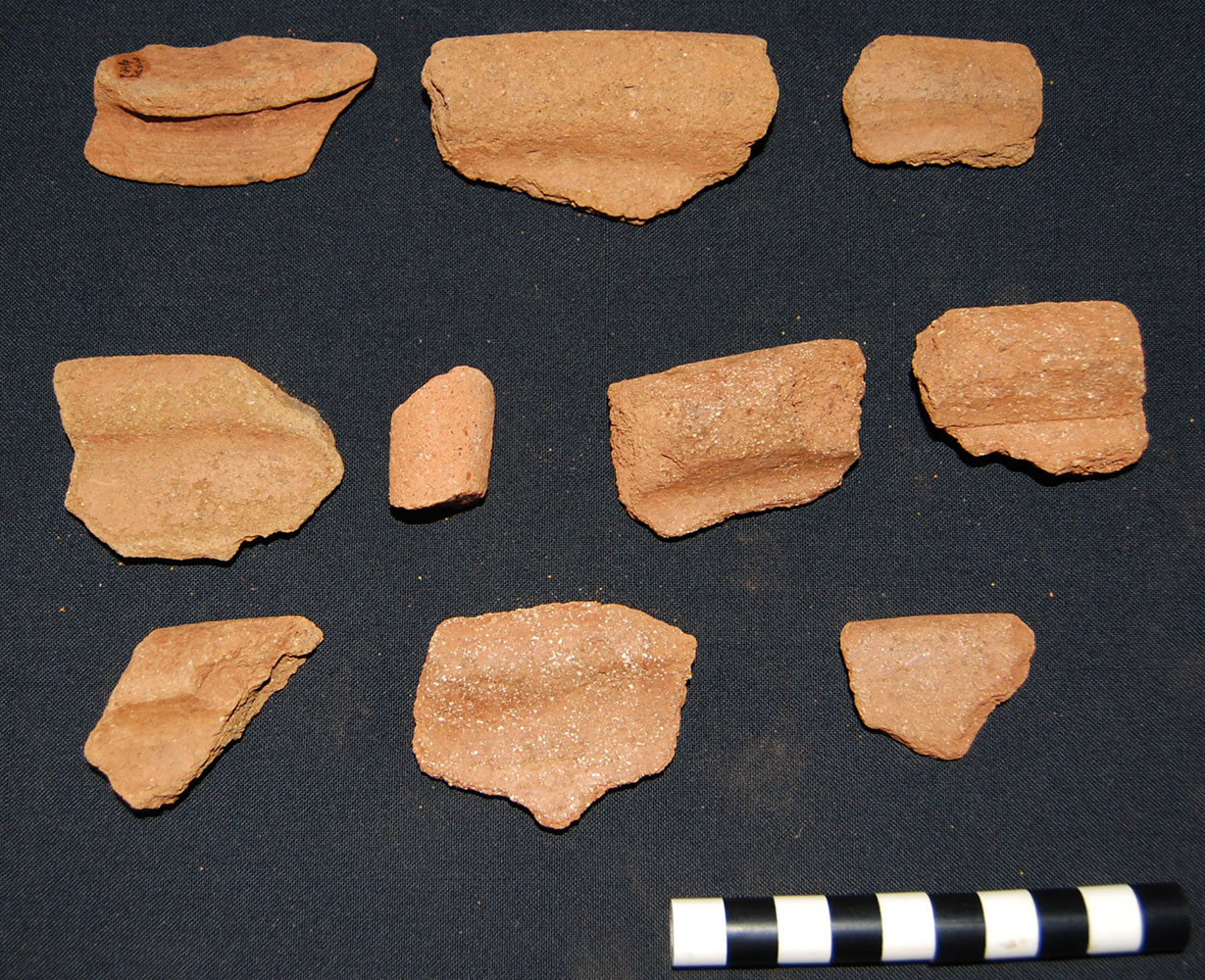 Fragmentos de cerámica, Sitio Pejeperro (Foto Francisco Corrales)
