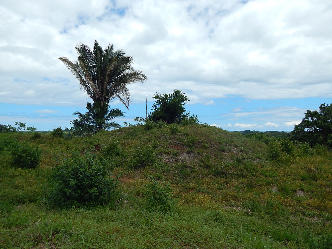 Vista del sitio Pejeperro, península de Osa (Foto Francisco Corrales)