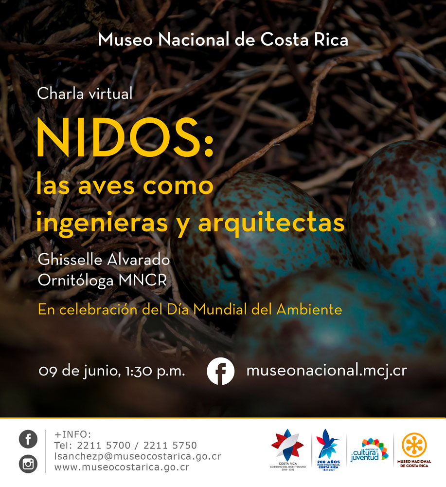 Charla Nidos: las aves como ingenieras y arquitectas