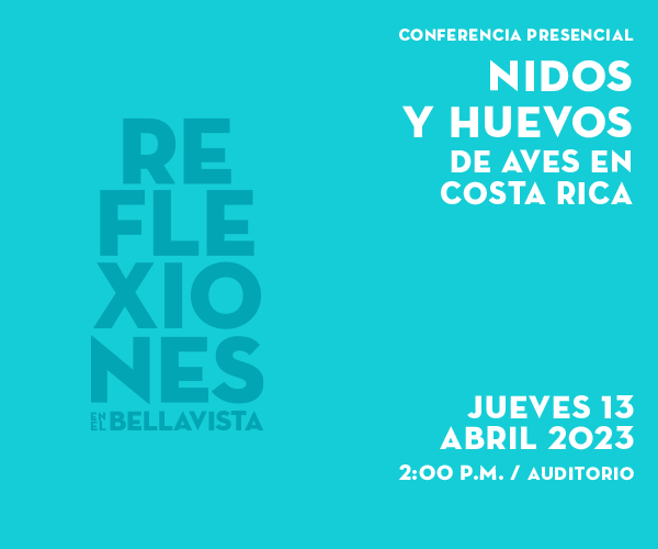 Conferencia: Nidos y huevos de aves en Costa Rica