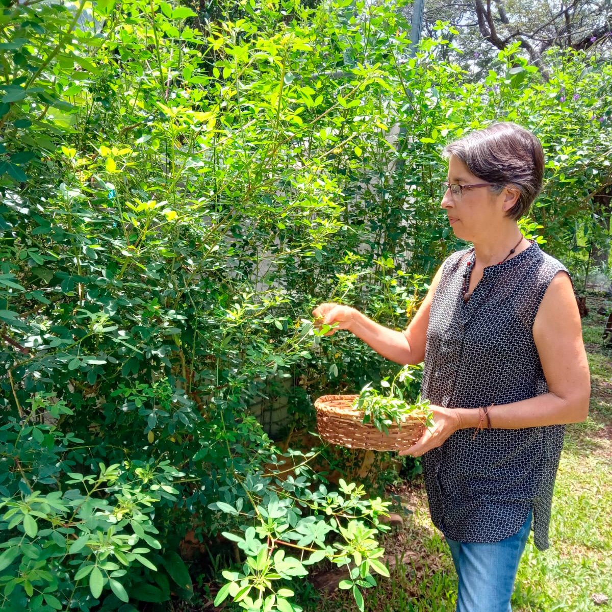 Taller Plantas Comestibles