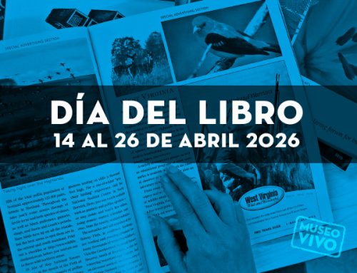 Celebramos el Día del Libro 2026