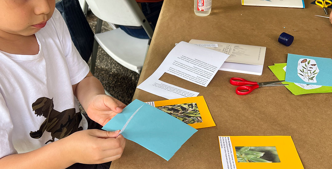 Taller Cuentos y tradiciones Taller Cuentos y tradiciones