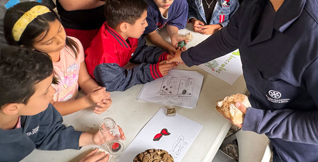 Taller Fósiles Taller Fósiles