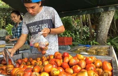 Festival de aniversario con comidas típicas