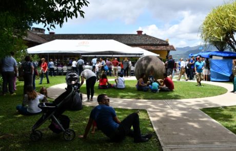 Festival de aniversario jardín público