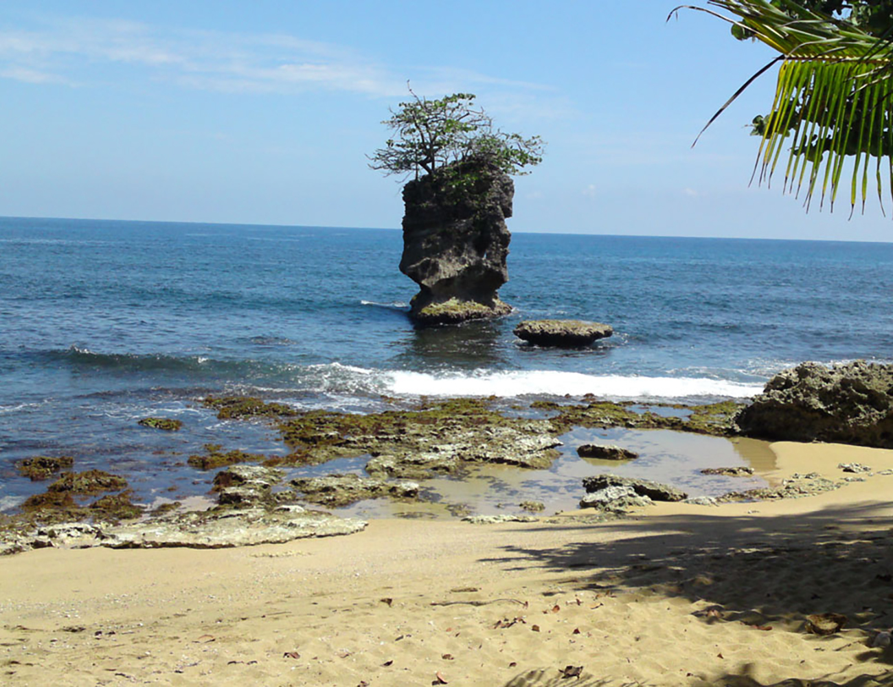 Manzanillo