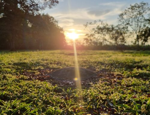 Segundo Alineamiento de esferas con el Sol 2026
