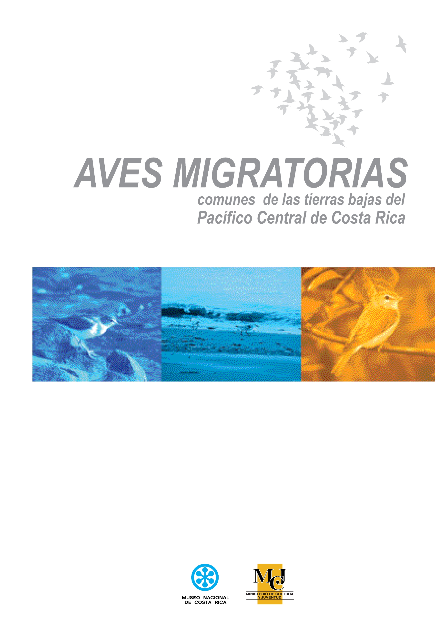 Libro Aves migratorias comunes de las tierras bajas del Pacífico Central de Costa Rica