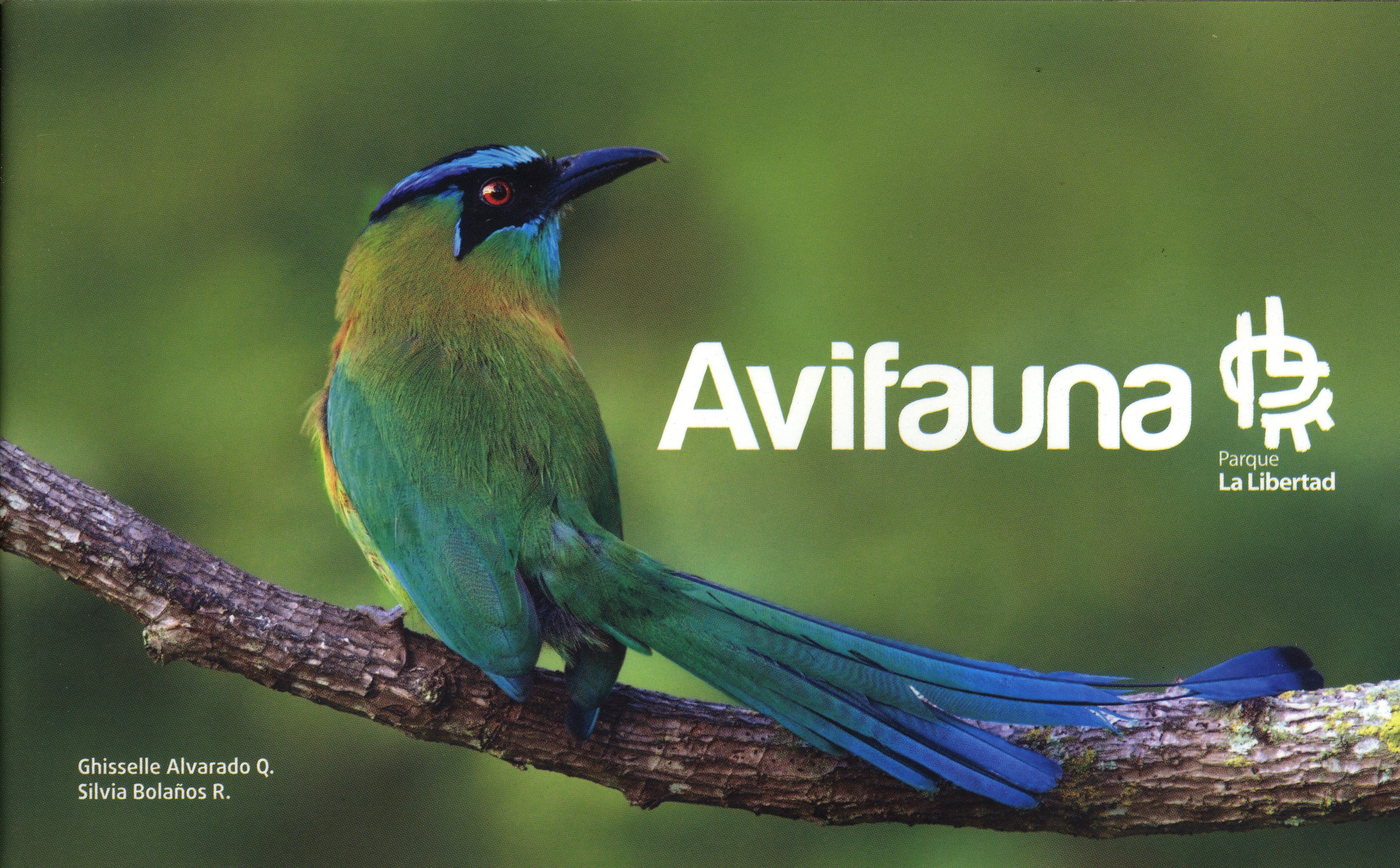 Avifauna del Parque la Libertad