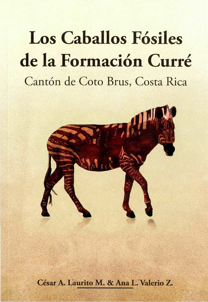 Los Caballos Fósiles de la Formación Curré, Cantón de Coto Brus, Costa Rica