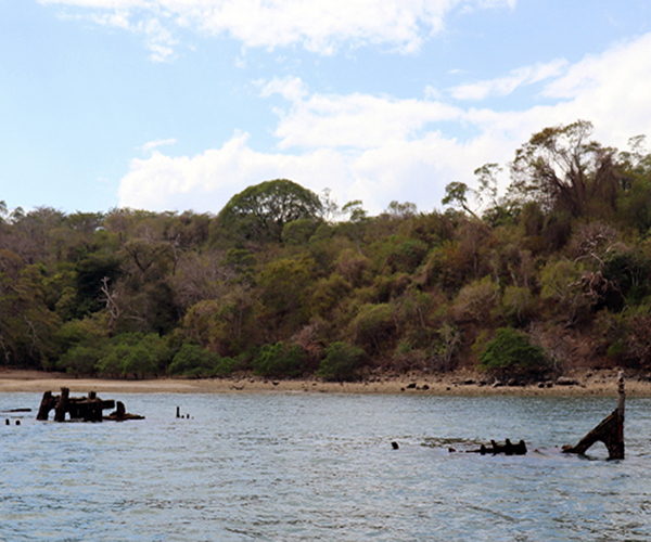 Isla San Lucas