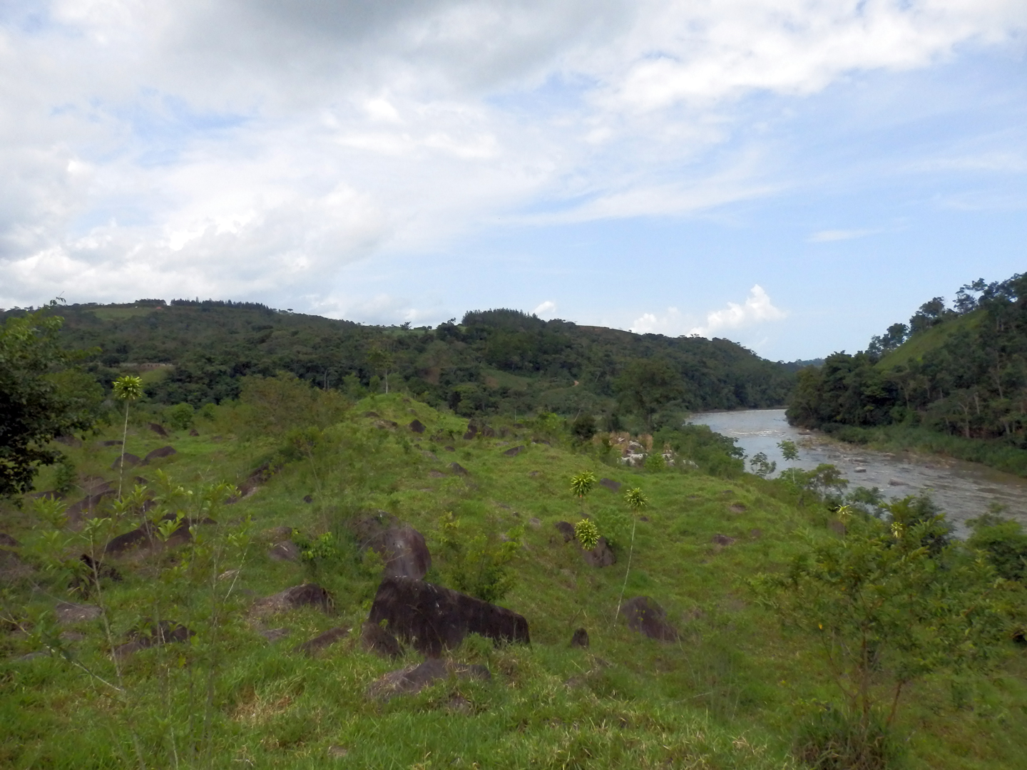 Terraza aluvial del río General 