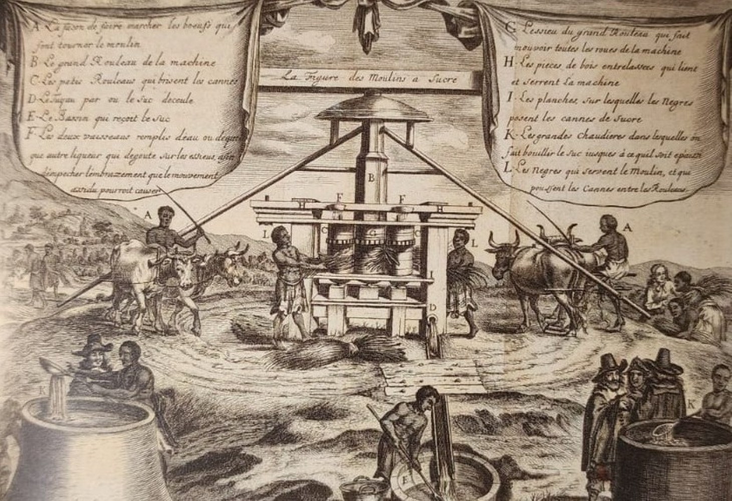 Ingenio azucarero colonia en América (Charles Rocherfort, Histoire naturelle et morale de iles Antilles).