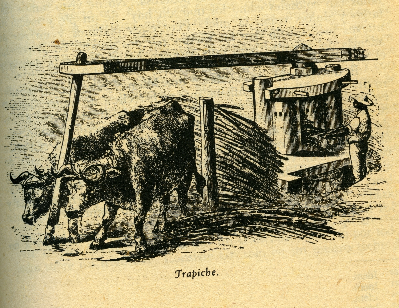 Trapiche de madera de mediados del siglo XIX.