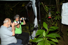 Chuck Fritsch y Julio Peña en una sesión fotográfica de colibríes.
