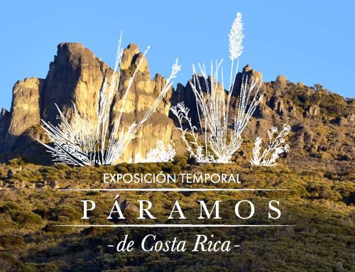 Guía didáctica exposición Páramos de Costa Rica