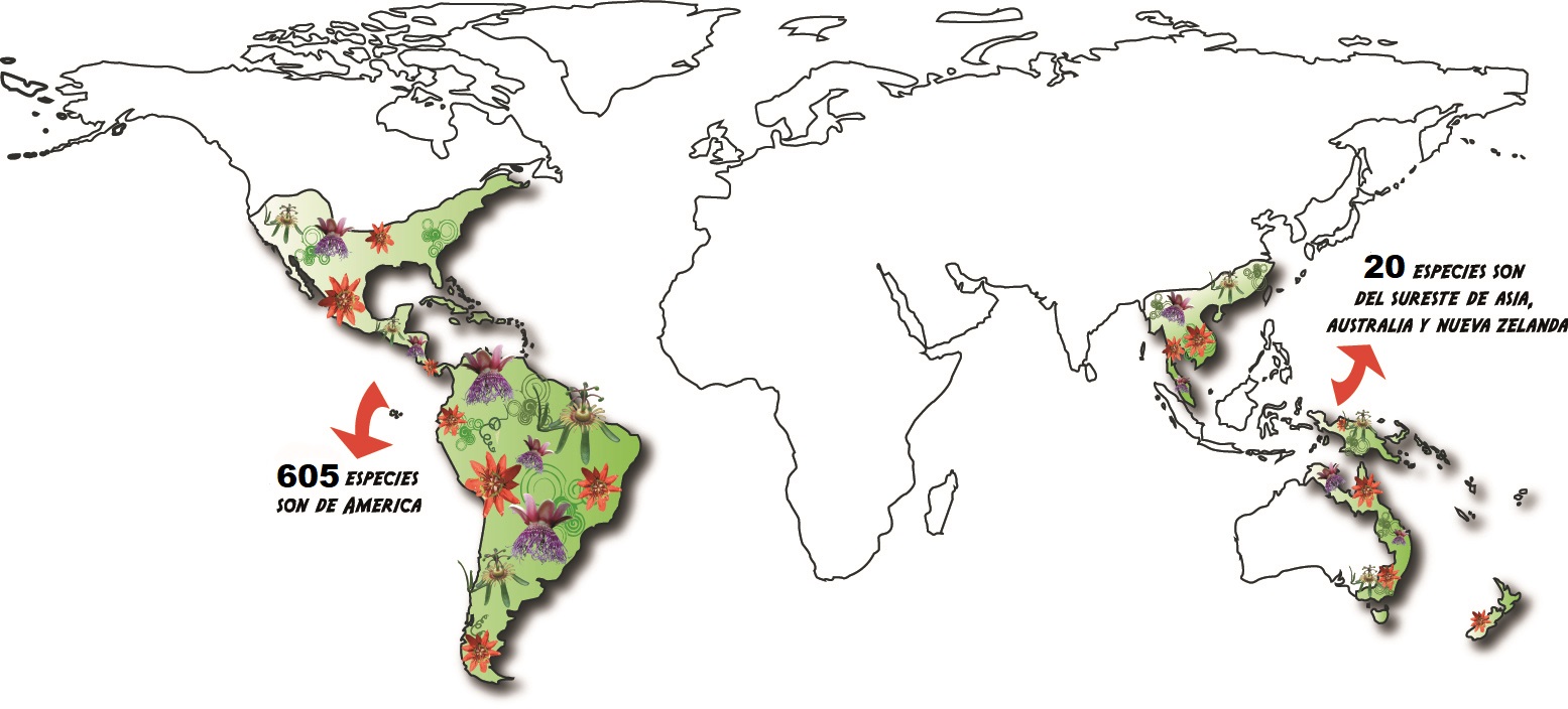 Distribución mundial del género Passiflora